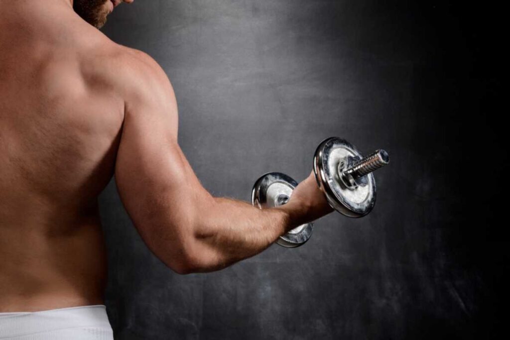 Da força muscular à melhora do desempenho cognitivo: quais os benefícios da creatina